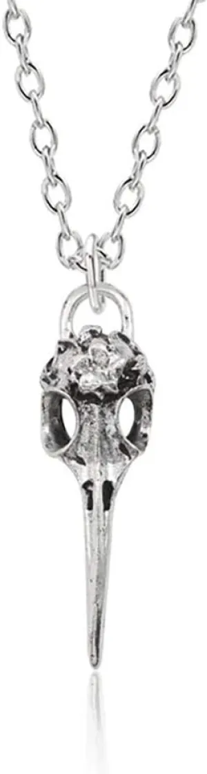 Crow Raven Bird Skull Necklaces Pendant Charms Vintage Silver Statement Choker Necklaces Women Punk Jewelry